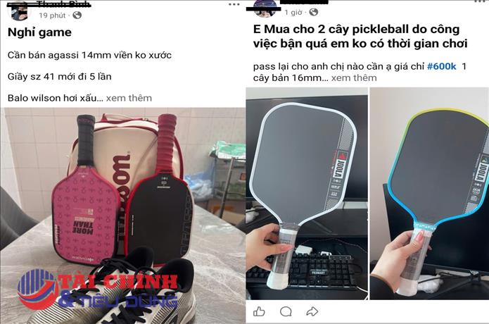 Pickleball bước vào giai đoạn sàng lọc người chơi
