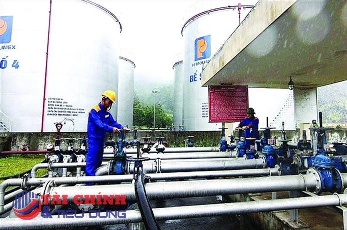 Petrolimex Equipment (PEQ) chốt quyền nhận cổ tức 20%, dự chi gần 10 tỷ đồng