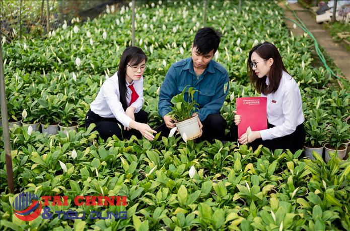 Agribank - Dòng vốn bền bỉ, điểm tựa vững chắc cho người dân và doanh nghiệp