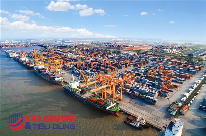 Cảng Đình Vũ (DVP) hụt hơi trong quý 1, kỳ vọng bứt tốc giữa áp lực cạnh tranh