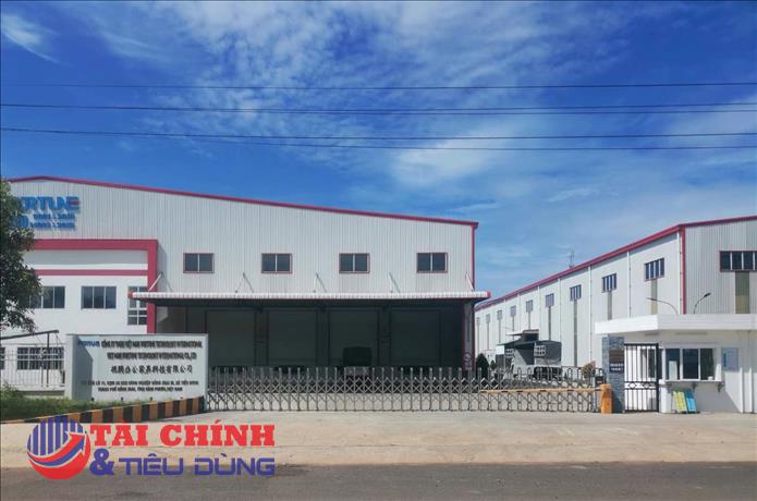 Không điều chỉnh giấy chứng nhận đầu tư, hai doanh nghiệp FDI tại Đồng Nai bị xử phạt