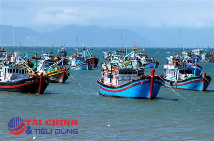 Khắc phục triệt để các tồn tại, hạn chế trong chống khai thác IUU