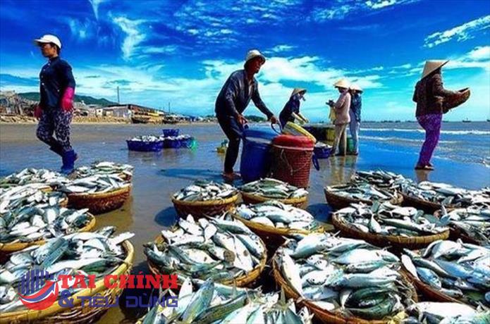 Nuôi trồng thủy sản tăng trưởng tích cực, khai thác biển còn nhiều thách thức