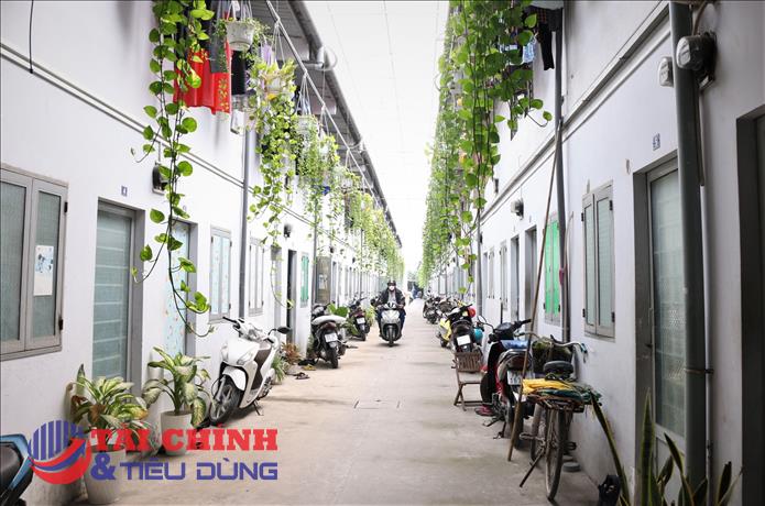 TP.HCM áp quy định mới với nhà trọ, tăng chuẩn an toàn và hỗ trợ người thuê