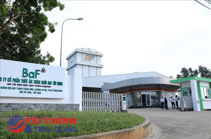 BAF báo lãi quý I kỷ lục hơn 200 tỷ đồng, hưởng lợi từ giá heo và mở rộng đàn