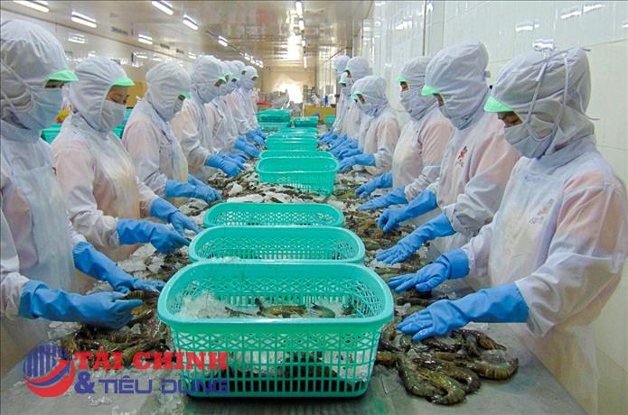 Thực phẩm Sao Ta (FMC) hụt doanh thu tháng 4, tiêu thụ tôm tiếp tục lao dốc