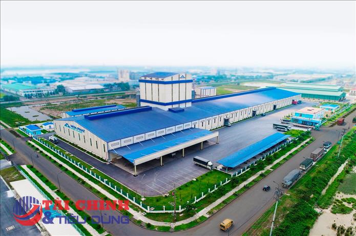 Giá heo hơi giảm kéo tụt lợi nhuận Nông nghiệp Hòa Phát (HPA), tiền mặt vẫn tăng mạnh sau IPO