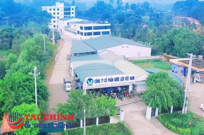 Dược liệu Việt Nam (DVM) lãi chưa tới 200 triệu đồng, “bốc hơi” 98% lợi nhuận quý I