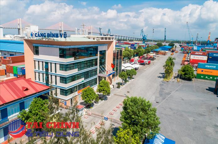 Cảng Đình Vũ (DVP) chi 200 tỷ đồng trả cổ tức, lợi nhuận quý I/2026 giảm nhẹ
