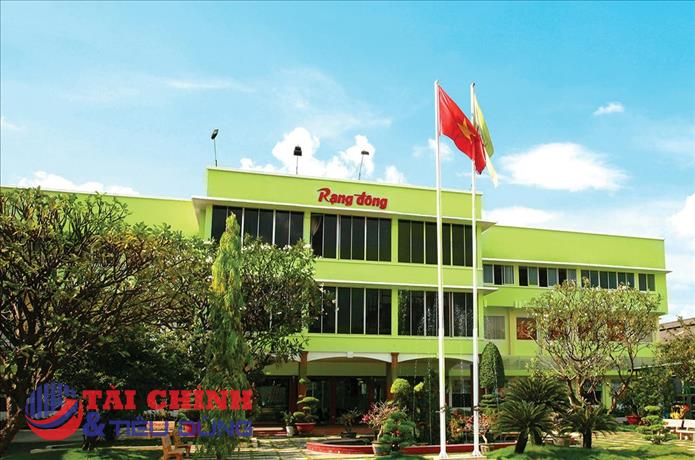 Rạng Đông Holding (RDP) bị phạt vì chậm công bố thông tin, cổ phiếu tiếp tục bị đình chỉ giao dịch