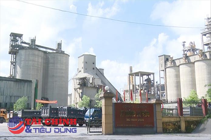 Xi măng La Hiên (CLH) chi khoảng 30 tỷ đồng trả cổ tức tiền mặt tỷ lệ 25%