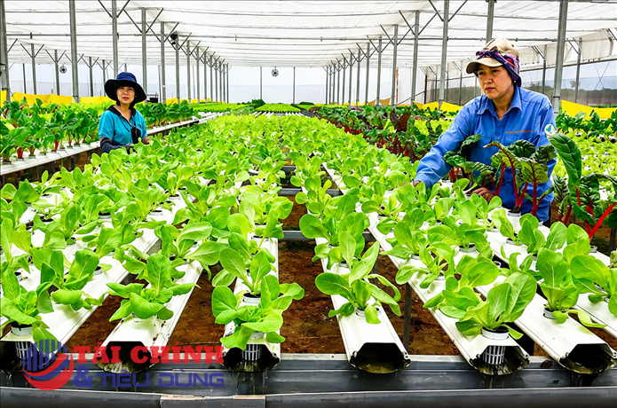 Bộ Tài chính đề xuất tháo gỡ hàng loạt điểm nghẽn cho hợp tác xã