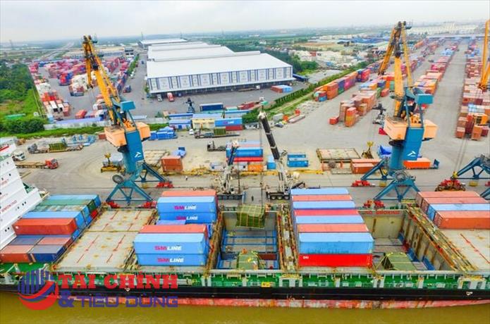 Hải An (HAH) chuẩn bị 'bơm' vốn nghìn tỷ cho chiến lược mở rộng đội tàu container