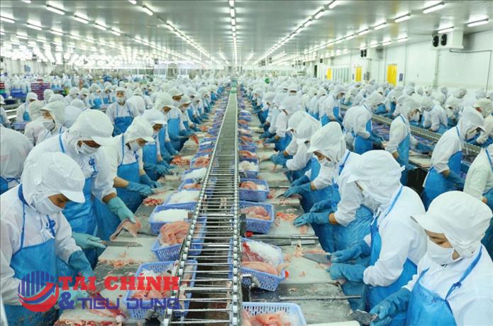 Ngành thủy sản quý I khởi sắc, nhóm doanh nghiệp cá tra và rô phi dẫn sóng tăng trưởng