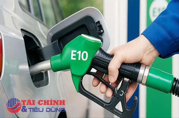 Giám sát chặt chẽ lộ trình chuyển đổi xăng sinh học E10