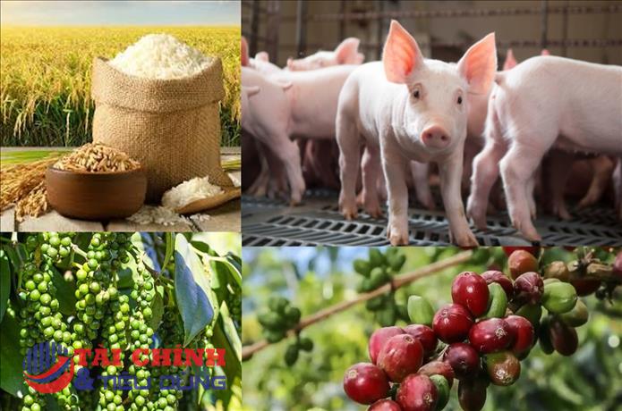 Giá nông sản hôm nay 20/5: Cà phê bật tăng, hồ tiêu giảm mạnh, lúa gạo khởi sắc