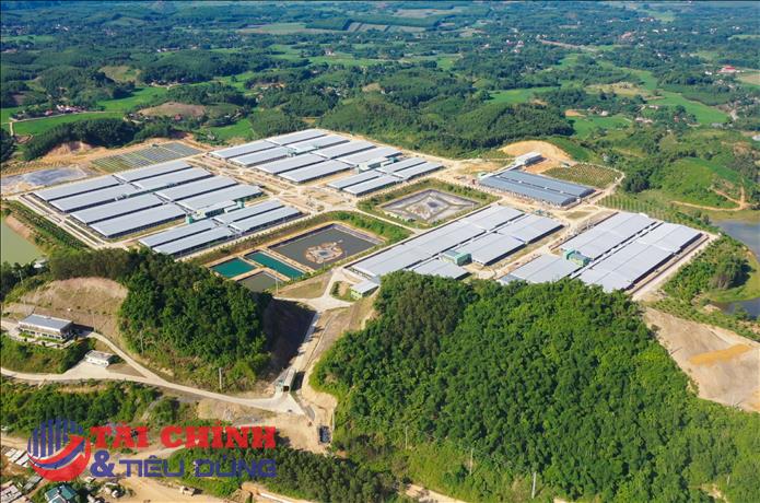 Hệ sinh thái Xuân Thiện liên tiếp bị 'tuýt còi', lộ khoảng trống minh bạch thông tin