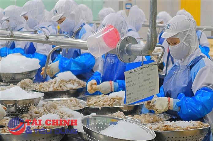 VASEP: Xuất khẩu tôm sang Mỹ khó phục hồi nhanh do tồn kho cao