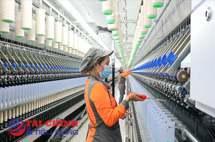 Sợi Thế Kỷ (STK) dự kiến phát hành hơn 14 triệu cổ phiếu trả cổ tức, lợi nhuận quý I chuyển sang thua lỗ