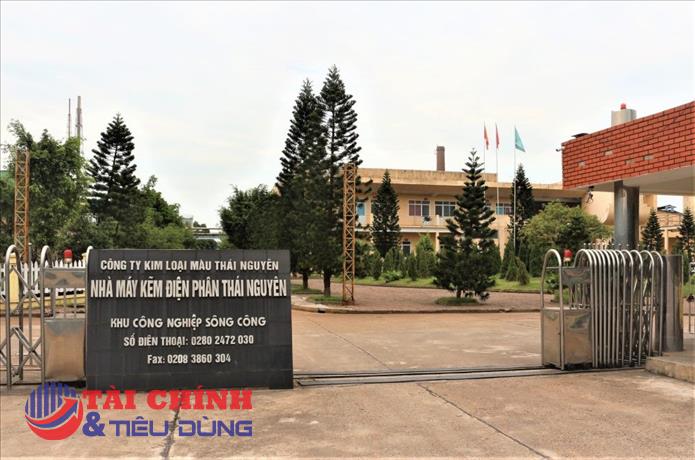 Kim loại màu Thái Nguyên (TMG) sắp chi 63 tỷ đồng cổ tức, tỷ lệ tiền mặt năm 2025 lên tới 50%