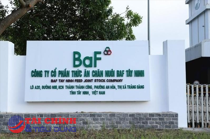 BAF Việt Nam chuẩn bị phát hành hơn 60 triệu cổ phiếu, tăng vốn điều lệ lên gần 3.650 tỷ đồng