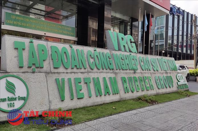 Tập đoàn Cao su (GVR) không đáp ứng điều kiện công ty đại chúng