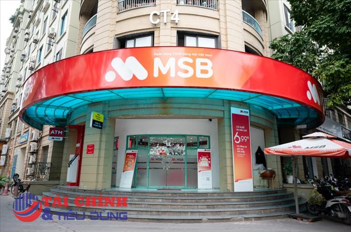 Nợ xấu chạm đỉnh, MSB sẽ xoay xở ra sao trước áp lực chi phí vốn?