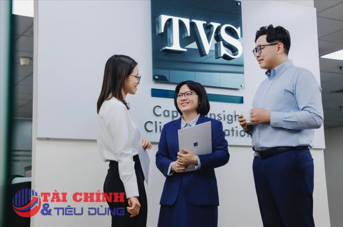 Cổ phiếu Chứng khoán Thiên Việt (TVS) tăng trần ngay sau thương vụ MoMo nhận đầu tư