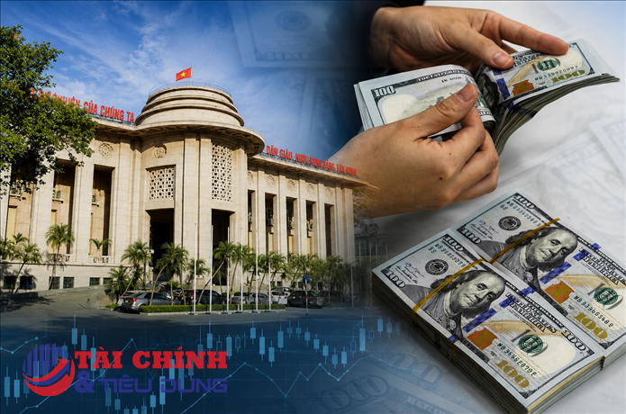 Sửa Nghị định 50: Tăng "lá chắn" bảo vệ nền kinh tế