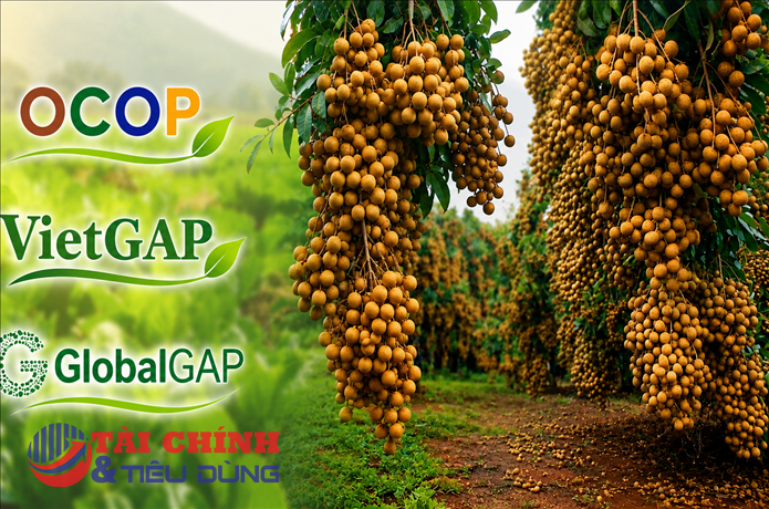 OCOP, VietGAP, GlobalGAP: Đừng nhầm "tem chứng nhận" với "tem bảo đảm chất lượng"