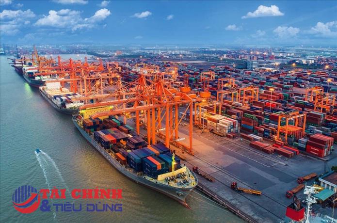 TP.HCM hoàn tất giao gần 103 ha đất triển khai siêu cảng Cái Mép Hạ hơn 50.800 tỷ đồng