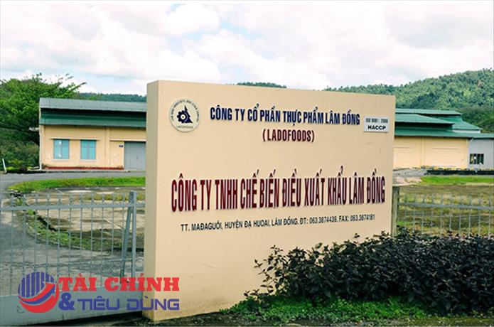 Ladofoods (VDL) đặt mục tiêu lãi tăng hơn gấp đôi, tiếp tục giữ lại toàn bộ lợi nhuận