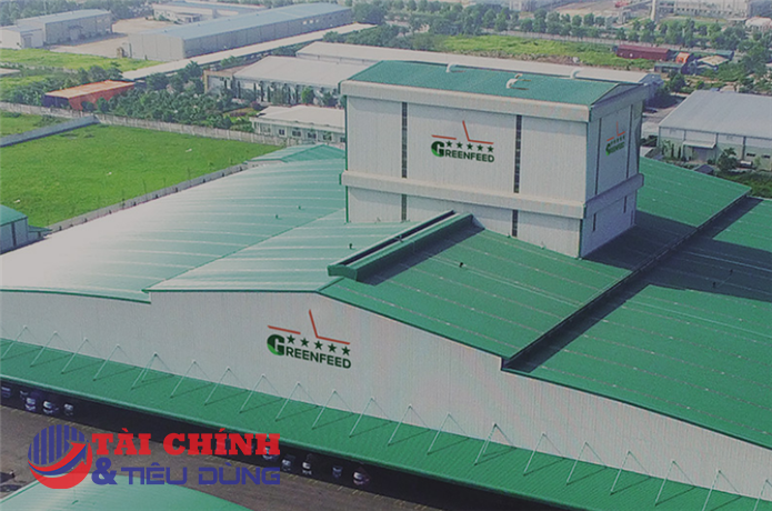Greenfeed Việt Nam chi 300 tỷ đồng mua lại trái phiếu trước hạn, lãi năm 2025 vượt 3.600 tỷ đồng