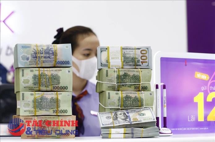 Ngân hàng Nhà nước hút ròng hơn 31.300 tỷ đồng, tỷ giá vẫn ổn định