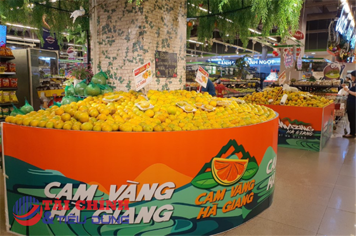 Kỳ 1: “Ngôi sao” OCOP và bài toán làm sao để bán được hàng