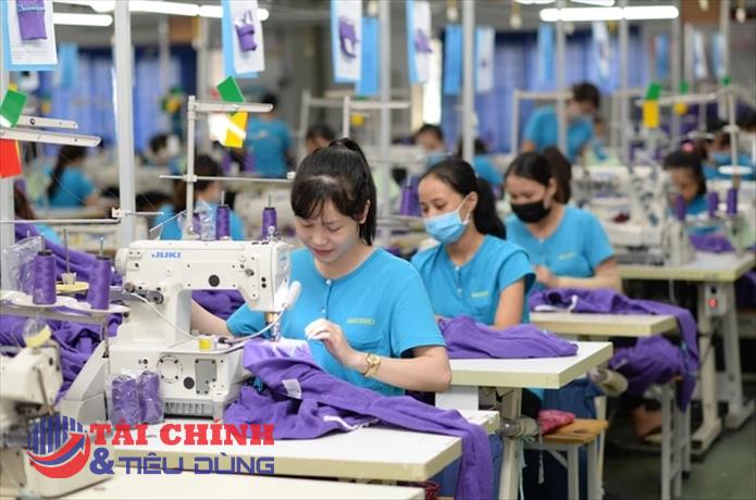 Tổng CTCP Dệt may Hà Nội (HSM) bị truy thu thuế, buộc điều chỉnh giảm gần 34,8 tỷ đồng số lỗ