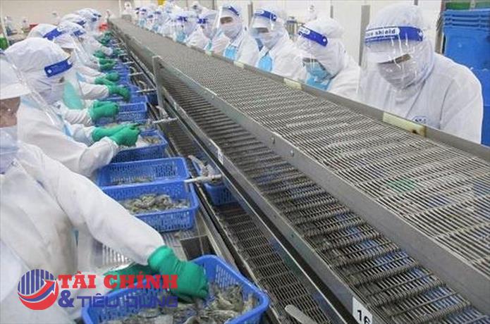 Minh Hải Jostoco (JOS) tiếp tục thua lỗ, vốn chủ sở hữu âm hơn 512 tỷ đồng
