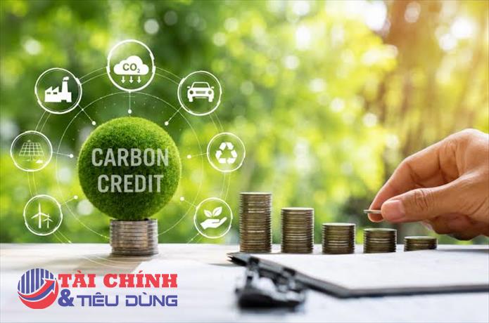 Thuế carbon: Giảm phát thải nhưng tạo áp lực lên tăng trưởng