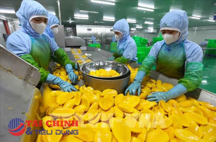 Xuất khẩu nông sản và thực phẩm chế biến: Hóa giải “điểm nghẽn” để tạo bứt phá 