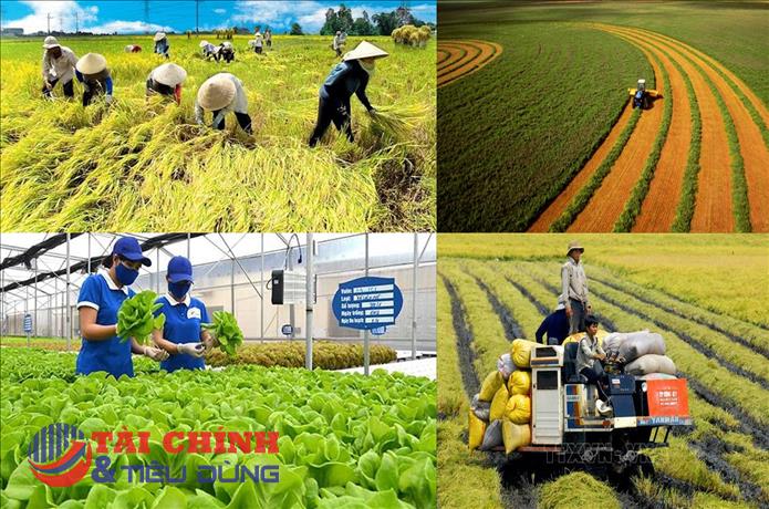 Khơi mở động lực mới cho phát triển kinh tế nông nghiệp