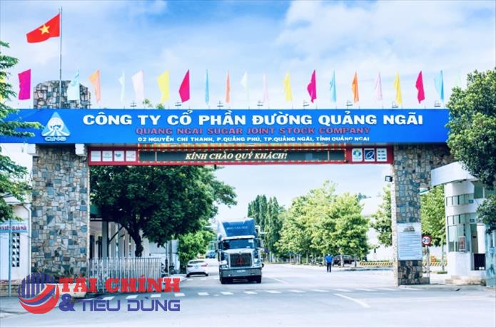 Đường Quảng Ngãi (QNS) nâng vốn dự án điện sinh khối, nợ vay ngắn hạn vượt 3.400 tỷ đồng