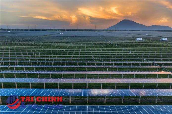 Vi phạm công bố thông tin về trái phiếu, Hoàn Cầu Solar LA bị xử phạt 92,5 triệu đồng