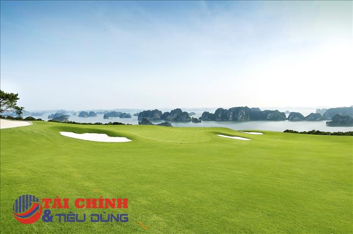 Chi nhánh FLC Biscom nợ thuế hơn 4 tỷ đồng, Chủ tịch FLC có thể bị tạm hoãn xuất cảnh