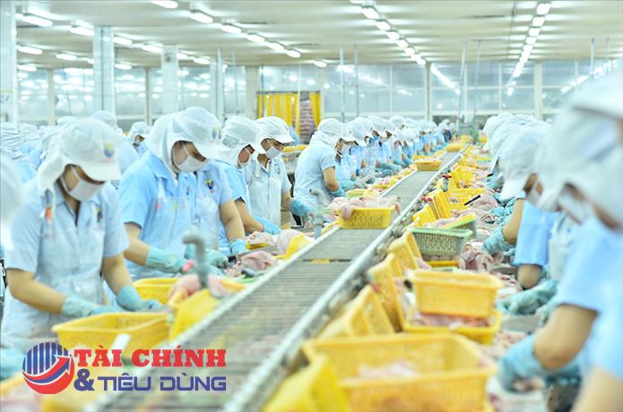 Nam Việt (ANV) lãi quý II giảm gần 60%, vay và nợ thuê tài chính ngắn hạn vượt 1.800 tỷ đồng