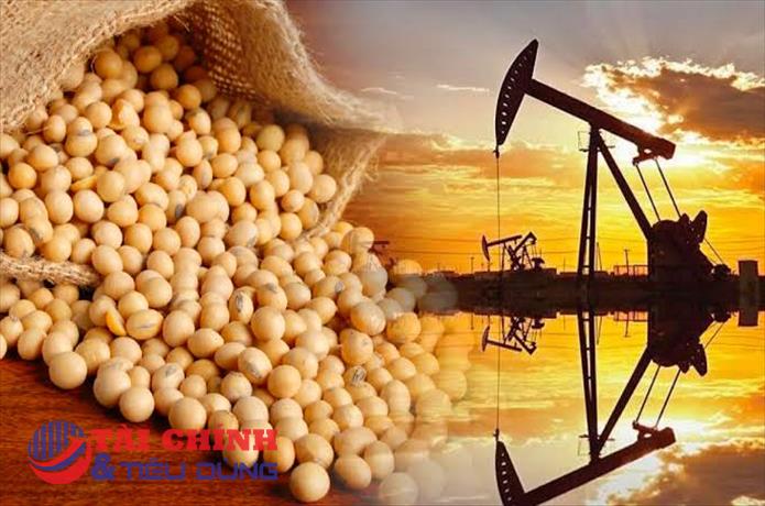 Giá đậu tương tăng mạnh nhờ nhu cầu nhập khẩu và lo ngại nguồn cung