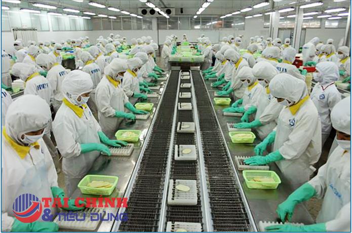 Thực phẩm Sao Ta (FMC) doanh thu quý II đi lùi, lợi nhuận vẫn tăng nhờ lãi tiền gửi ngân hàng