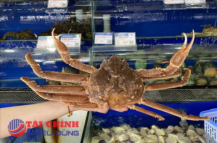 Mỹ là nguồn cung nông sản lớn Top 2 cho Việt Nam, tôm hùm và cua tuyết ngày càng hút khách