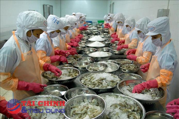 Thuế Section 301 của Hoa Kỳ: Làm thay đổi cuộc đua cạnh tranh của thủy sản Việt