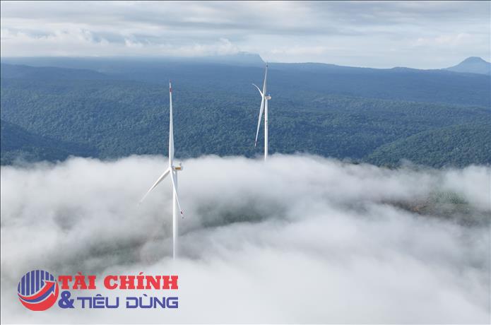 Từ đầu tư đến tạo dòng tiền: Bước chuyển của dự án điện gió lớn nhất T&T Group tại Lào