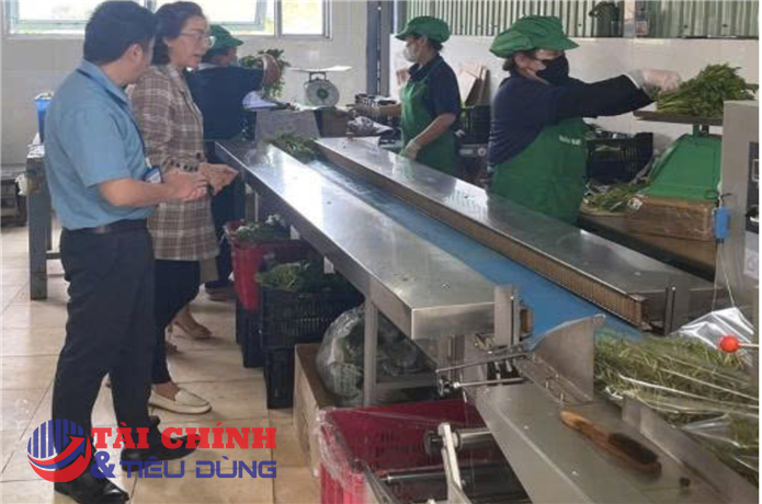 Lâm Đồng kiểm tra 169 cơ sở nông lâm thủy sản, xử phạt 15 cơ sở vi phạm an toàn thực phẩm